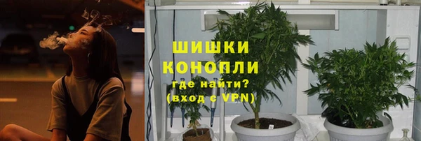 стаф Майский