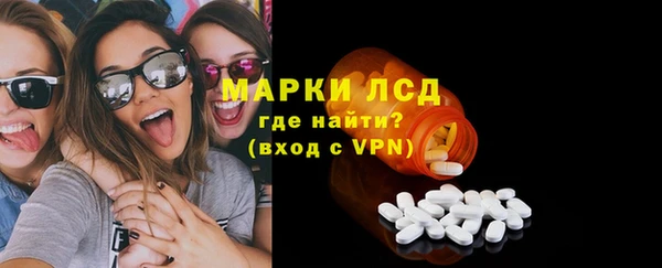 шишки Анива